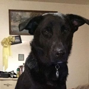 Meet your Posher, Jesse